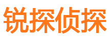 沿滩外遇调查取证